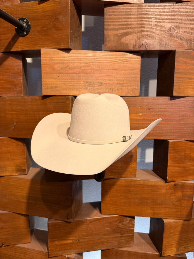 Shorty X Paws Up 100x Felt Hat in Silver Sands