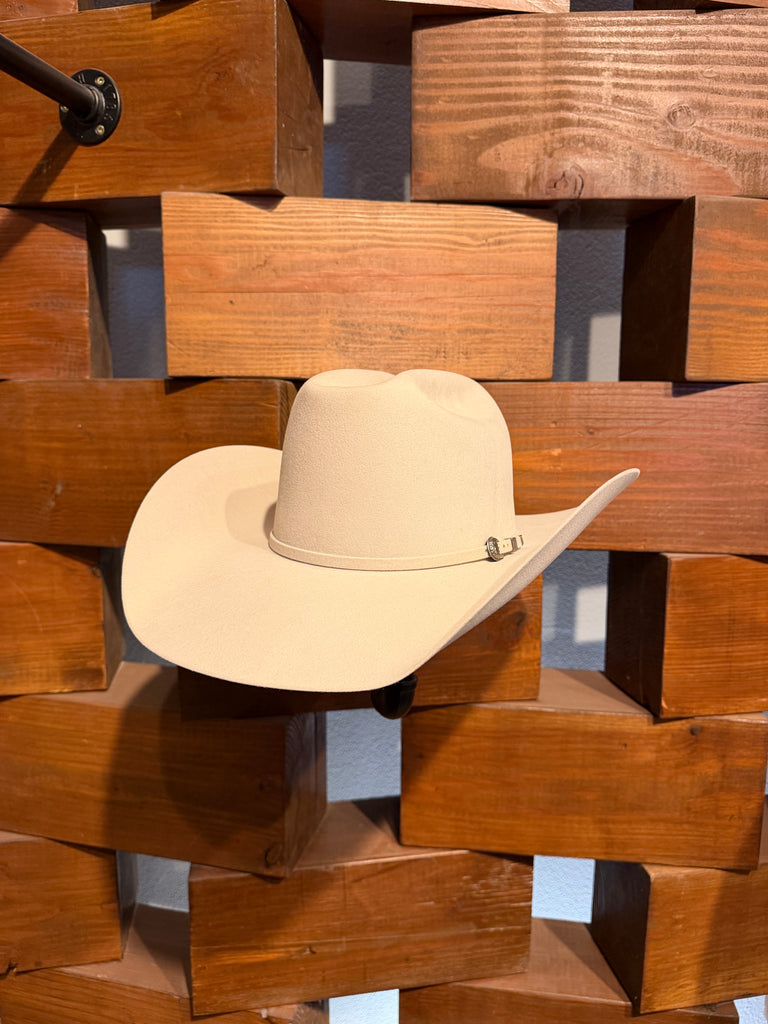 Shorty X Paws Up 100x Felt Hat in Silver Sands