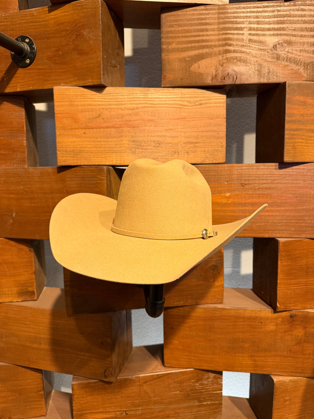 Shorty X Paws Up 50x Felt Hat in Camel