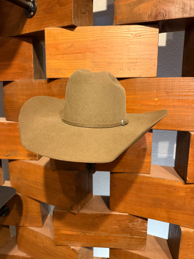 Shorty X Paws Up 50x Felt Hat in Pecan