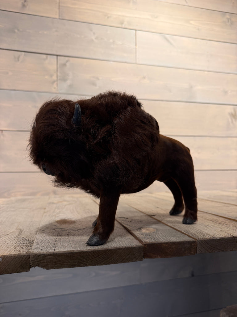 Decorative Buffalo