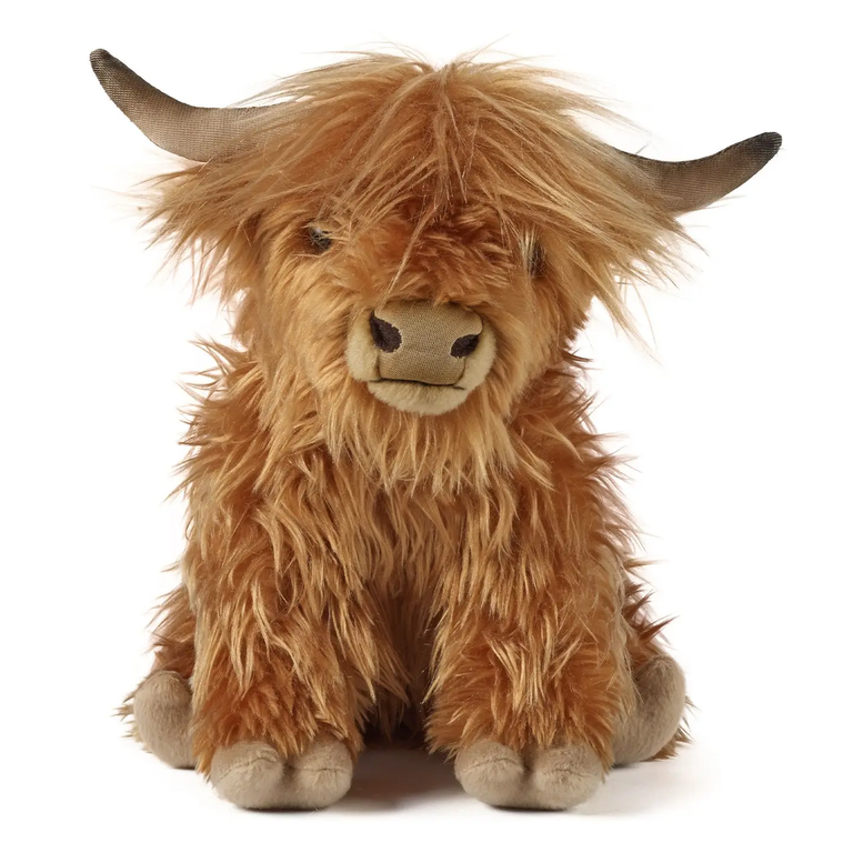 Highland Cow